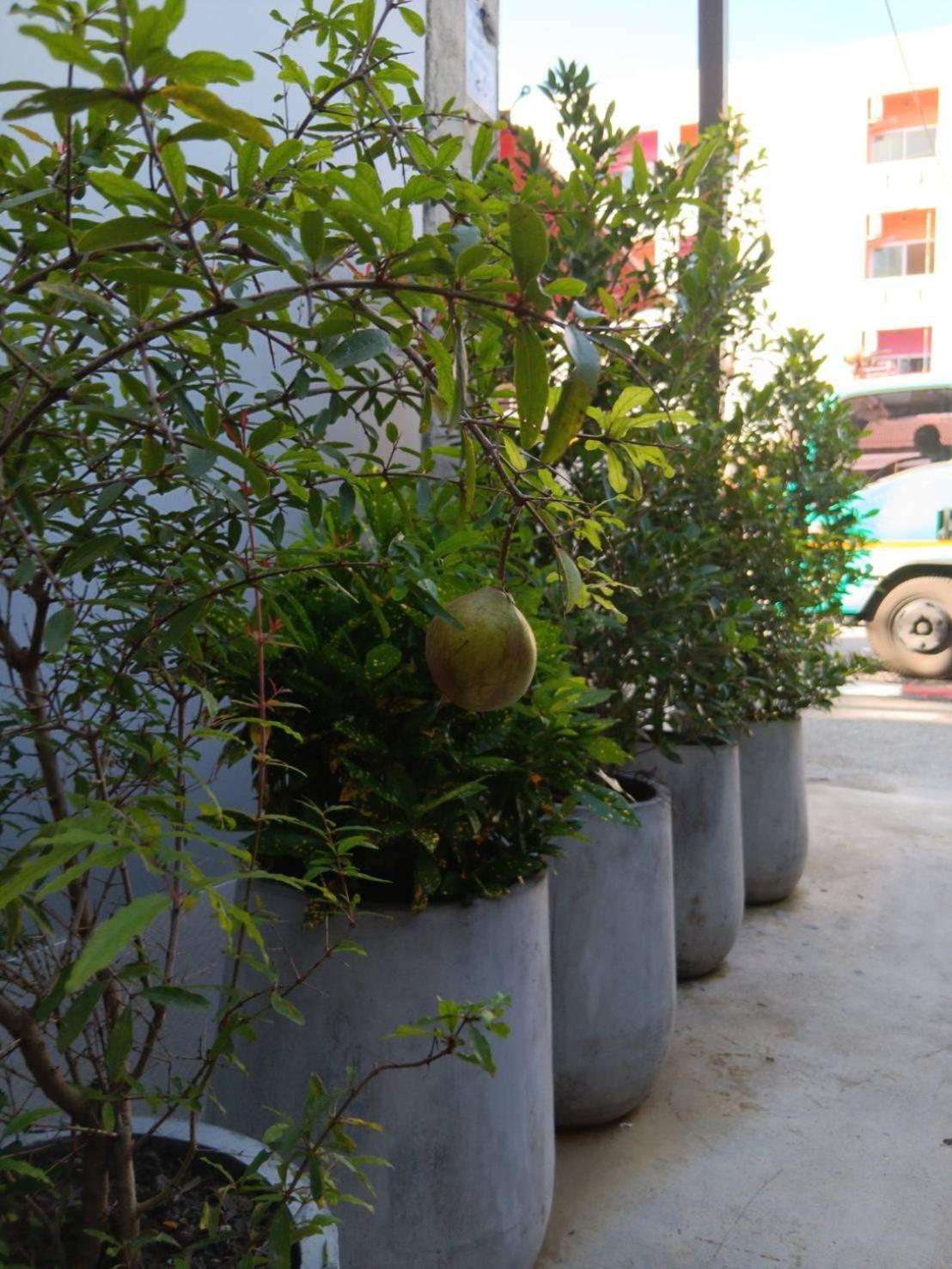 Hotel The Brown Boutique Patong Exterior foto